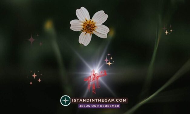 Rejoice in the Lord: A Daily Devotional (Philippians 4:4)