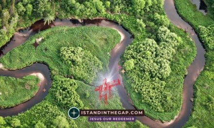 Ströme des Segens: Eine tägliche Andacht (1. Mose 2,10)