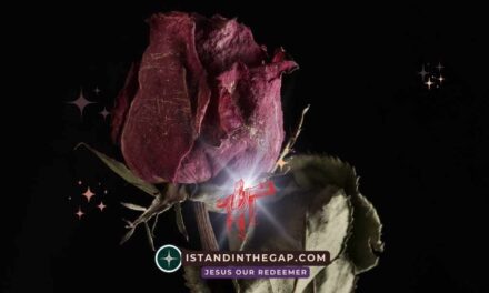 The World Is Passing: A Daily Devotional (1 John 2:17)