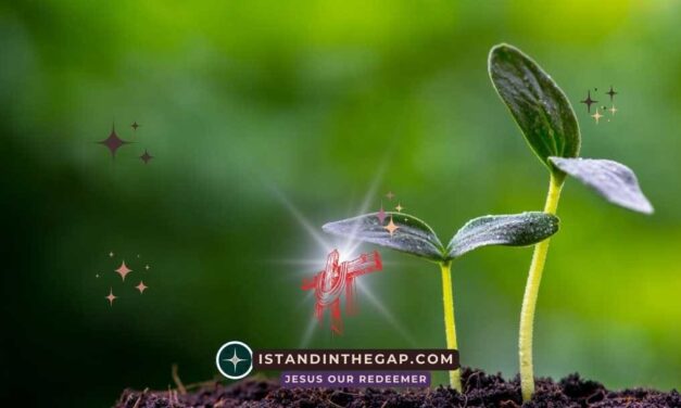 Von Gott gepflanzt: Eine t&auml;gliche Andacht (1. Mose 2,8)