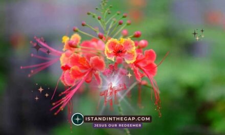 Wisdom Corrupted by Pride: A Daily Devotional (Ezekiel 28:4-5)