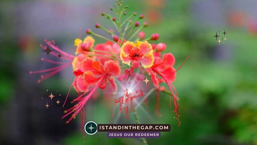 Wisdom Corrupted by Pride: A Daily Devotional (Ezekiel 28:4-5)