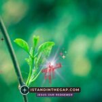 You Have Eternal Life: A Daily Devotional (1 John 5:13)