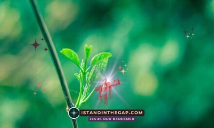 You Have Eternal Life: A Daily Devotional (1 John 5:13)