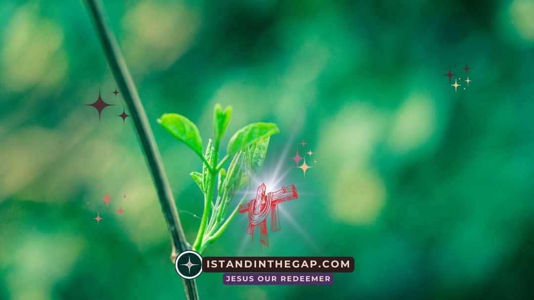 You Have Eternal Life: A Daily Devotional (1 John 5:13)