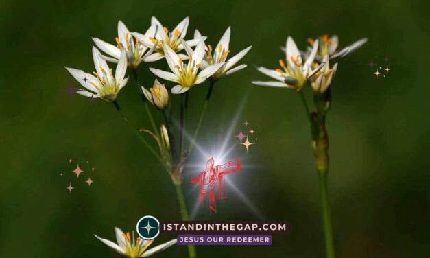 Accusations Against Believers: A Daily Devotional (Ezra 4:6)