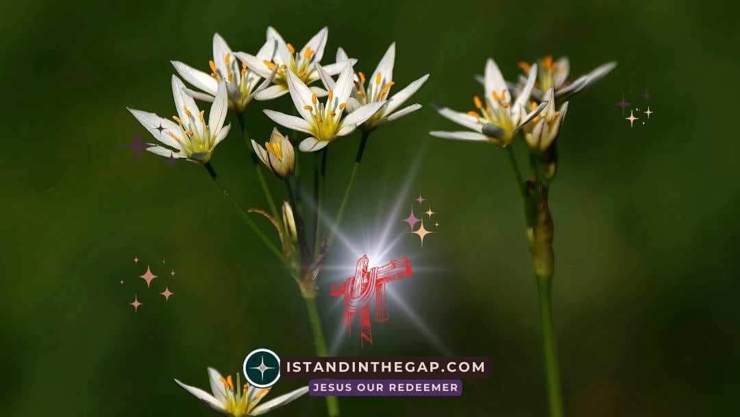 Accusations Against Believers: A Daily Devotional (Ezra 4:6)