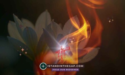 An Excellent Spirit: A Daily Devotional (Daniel 6:3)