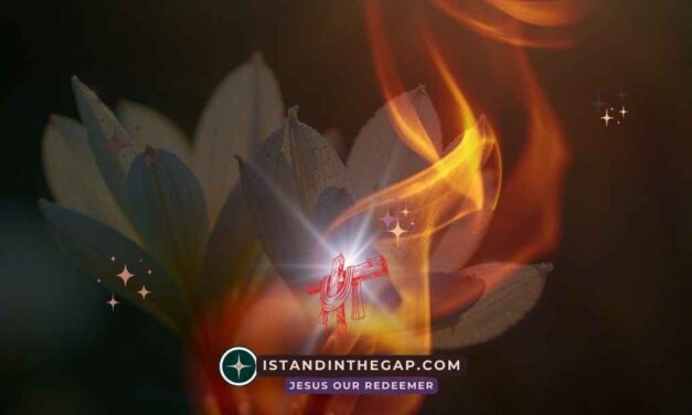 An Excellent Spirit: A Daily Devotional (Daniel 6:3)