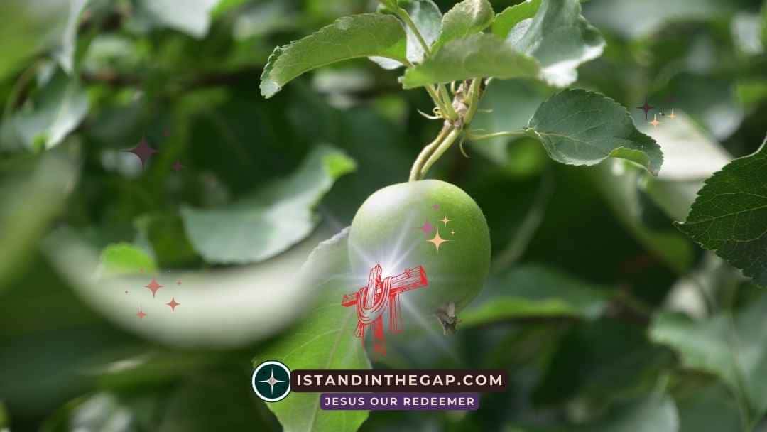 Apfel Seines Auges: Eine t&auml;gliche Andacht (Sacharja 2:12)