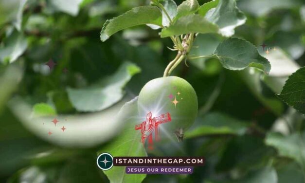 Apple of His Eye: A Daily Devotional (Zechariah 2:8)