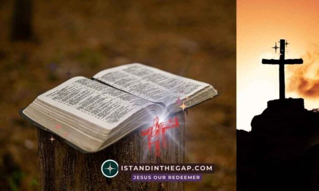 Behalte den Glauben: Eine t&auml;gliche Andacht (2. Timotheus 4:7)