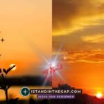 Evening and the Morning: A Daily Devotional (Genesis 1:5)