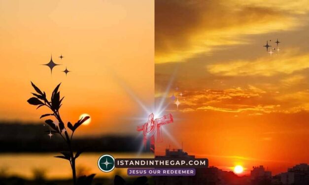 Evening and the Morning: A Daily Devotional (Genesis 1:5)