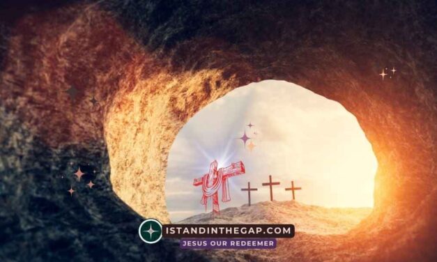 Eyes on the Lord: A Daily Devotional (Psalm 25:15)