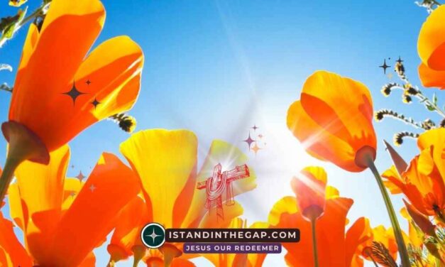 Familienidentit&auml;t ist wichtig: Eine t&auml;gliche Andacht (Esra 2:59)