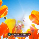 Family Identity Matters: A Daily Devotional (Ezra 2:59)