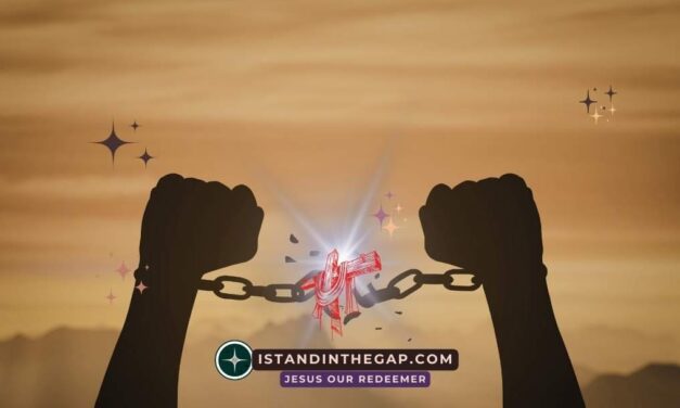 Forgiveness Sets You Free: A Daily Devotional (Matthew 6:14-15)