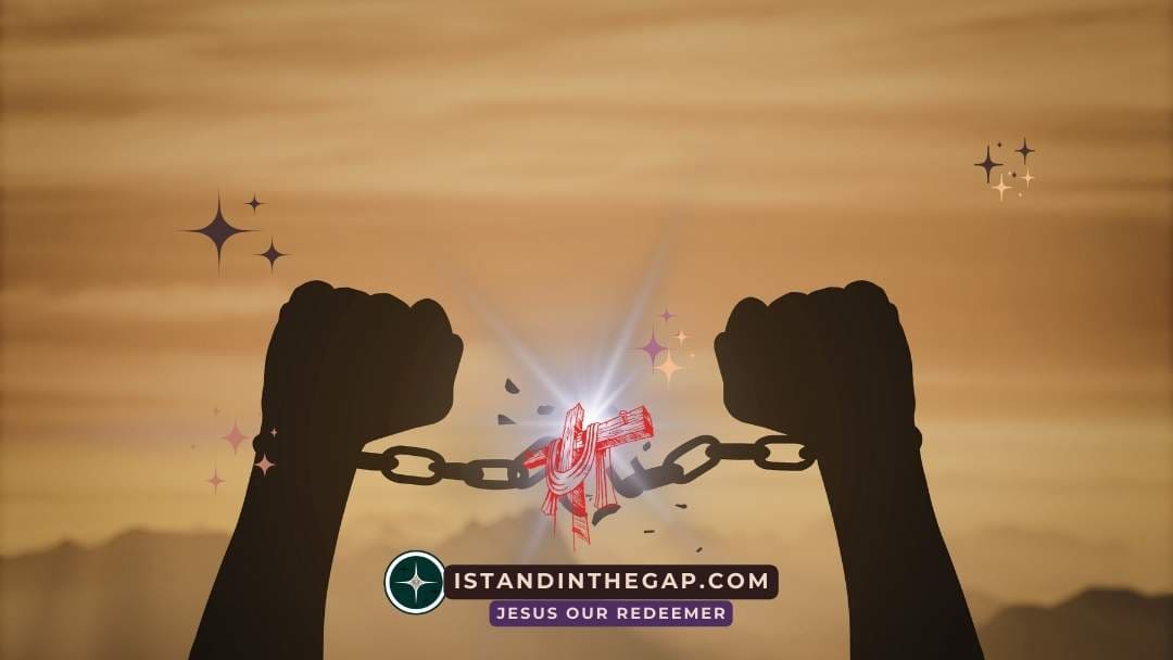 Forgiveness Sets You Free: A Daily Devotional (Matthew 6:14-15)