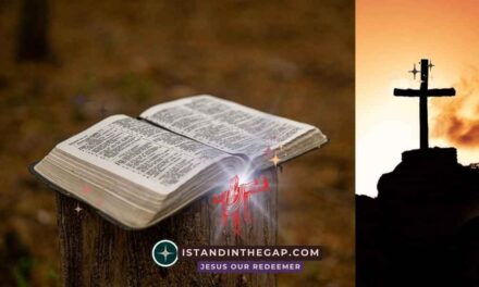 Keep the Faith: A Daily Devotional (2 Timothy 4:7)