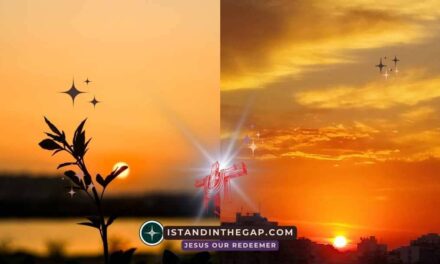 Morgen und Abend: Eine t&auml;gliche Andacht (Genesis 1:5)