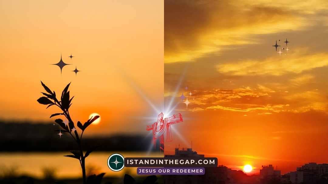 Morgen und Abend: Eine t&auml;gliche Andacht (Genesis 1:5)