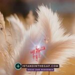 Be Gentle Toward All: A Daily Devotional (Titus 3:2)