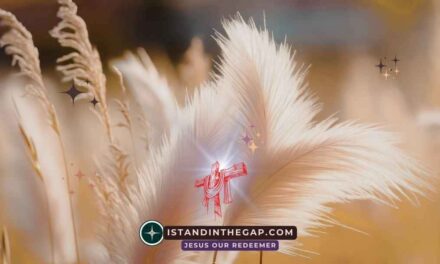 Be Gentle Toward All: A Daily Devotional (Titus 3:2)