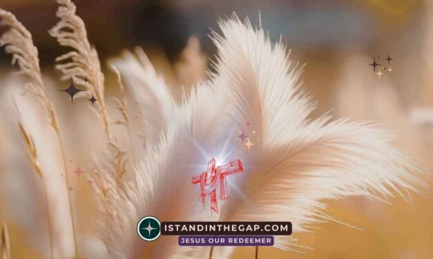 Be Gentle Toward All: A Daily Devotional (Titus 3:2)