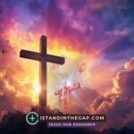 Justified by Grace: A Daily Devotional (Titus 3:7)
