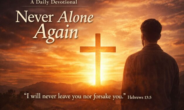 Never Alone Again: A Daily Devotional (Hebrews 13:5)