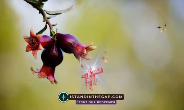 The Firstfruits of Creation: A Daily Devotional (James 1:18)