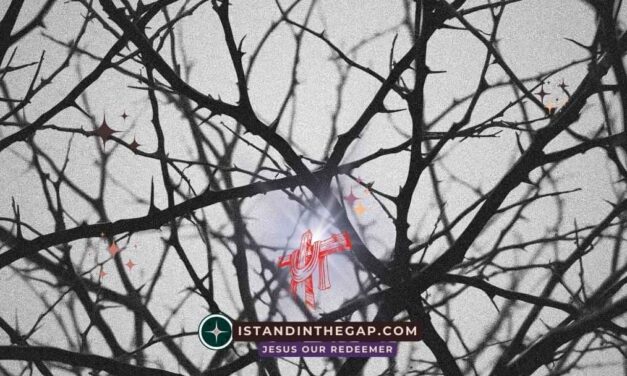 Time of Distress: A Daily Devotional (Daniel 12:1)