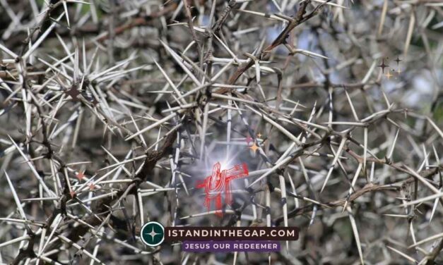 Be Resilient Through Trials: A Daily Devotional (James 1:12)