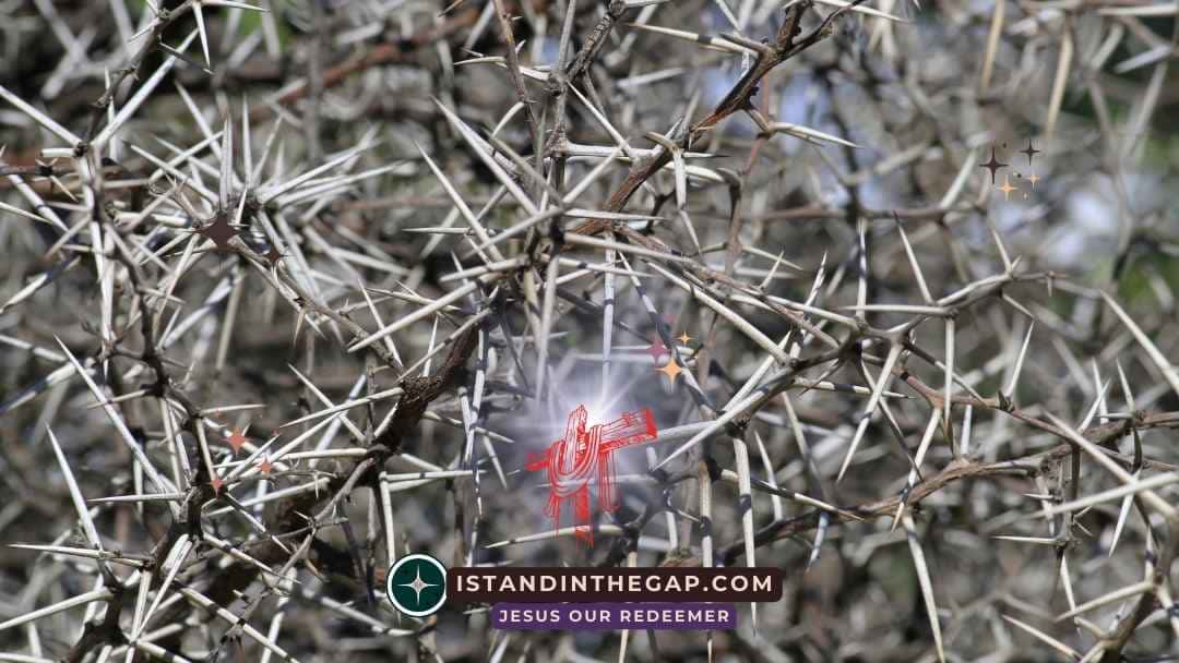 Be Resilient Through Trials: A Daily Devotional (James 1:12)