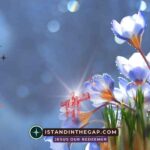 First Love Restored: A Daily Devotional (Revelation 2:4-5)