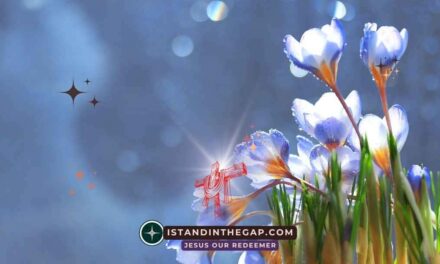 First Love Restored: A Daily Devotional (Revelation 2:4-5)