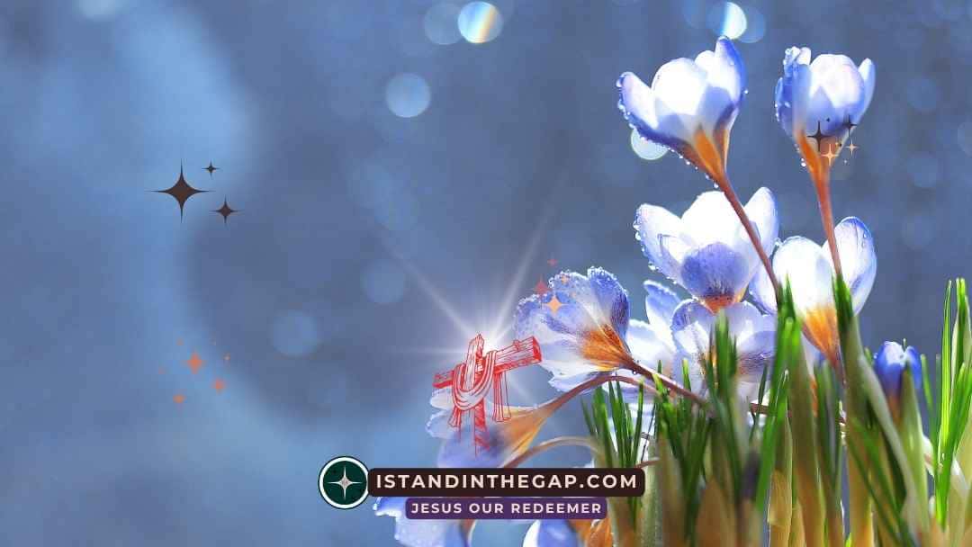 First Love Restored: A Daily Devotional (Revelation 2:4-5)