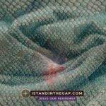 Garments of Skin: A Daily Devotional (Genesis 3:21)