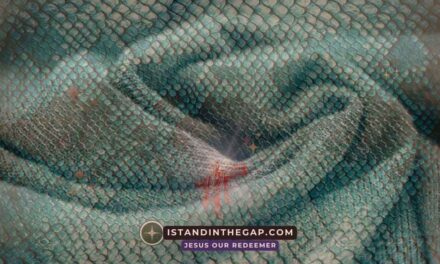 Garments of Skin: A Daily Devotional (Genesis 3:21)