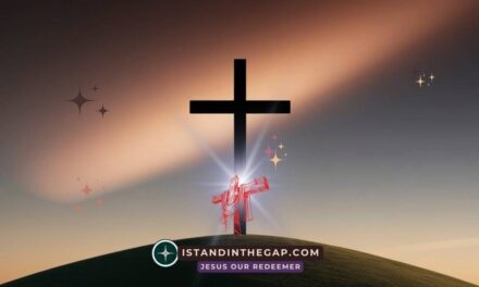 Grace Over Performance: A Daily Devotional (Titus 2:11-12)