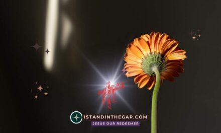 Fighting Historical Guilt: A Daily Devotional (Ezra 9:7)