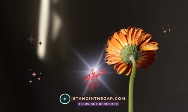 Fighting Historical Guilt: A Daily Devotional (Ezra 9:7)