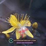 Living for Eternity: A Daily Devotional (2 Corinthians 4:18)