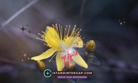 Living for Eternity: A Daily Devotional (2 Corinthians 4:18)