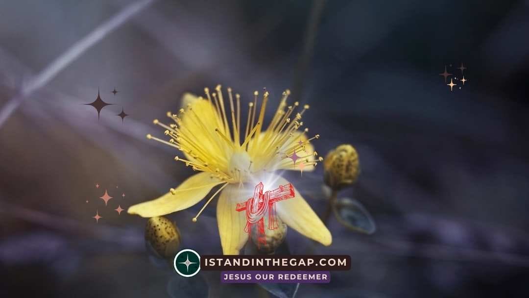 Living for Eternity: A Daily Devotional (2 Corinthians 4:18)