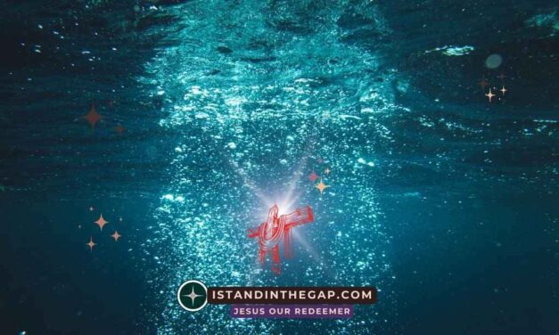 You Hurled Me Deep: A Daily Devotional (Jonah 2:3)