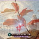 Covenant Loyalty: A Daily Devotional (2 Chronicles 34:31)