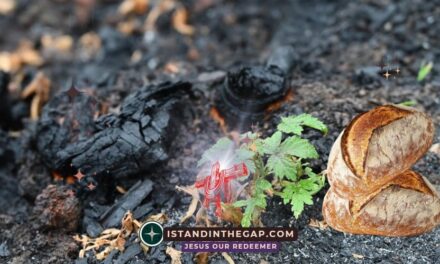 Ashes for Bread: A Daily Devotional (Psalm 102:9)