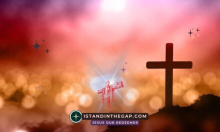 Boasting in the Cross: A Daily Devotional (Galatians 6:14)